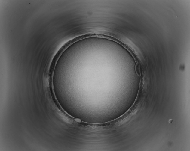 X0000101210924200807071335