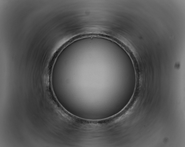 X0000101210925200807071335