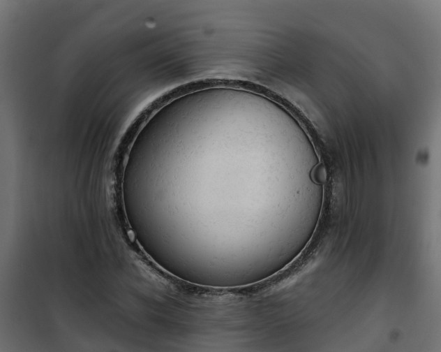 X0000101210926200807071335