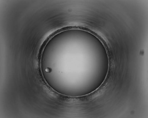 X0000101210927200807071335