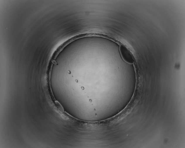 X0000101210928200807071335