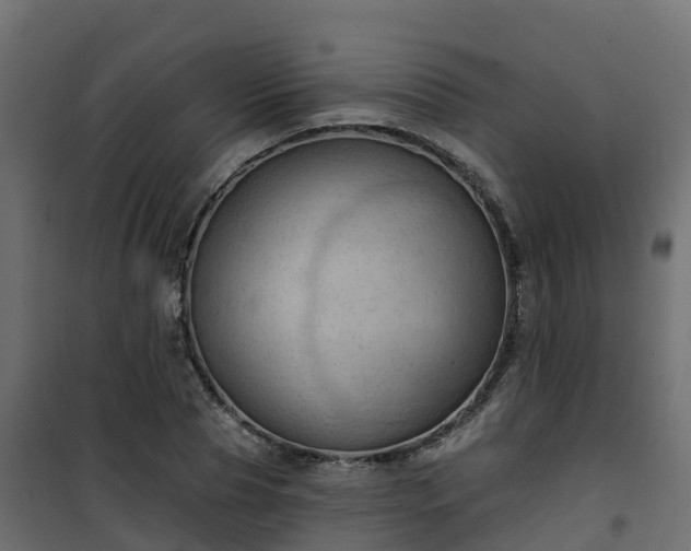 X0000101210929200807071335