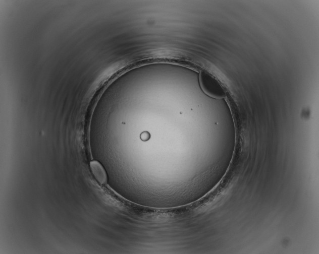 X0000101210930200807071335