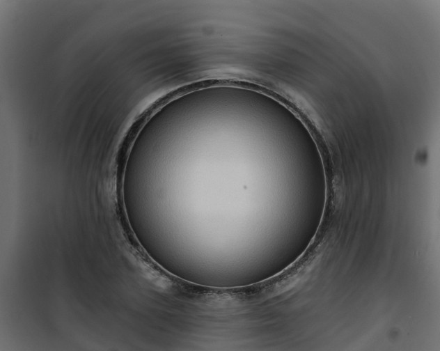 X0000101210931200807071335