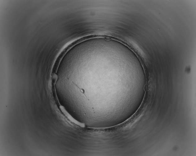 X0000101210932200807071335