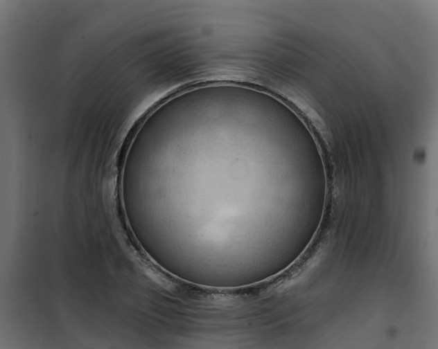 X0000101210933200807071335