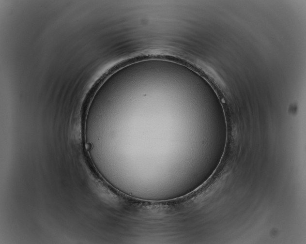 X0000101210934200807071335