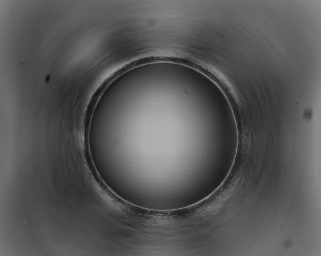 X0000101210935200807071335