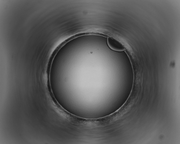 X0000101210936200807071335