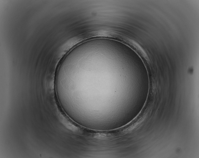 X0000101210938200807071335