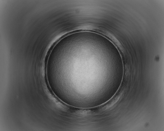 X0000101210939200807071335