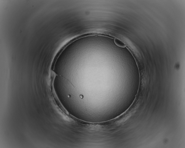 X0000101210940200807071335