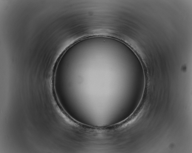 X0000101210941200807071335