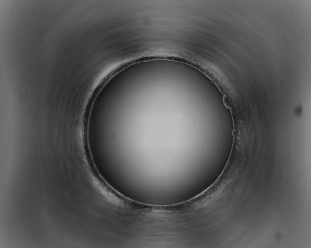 X0000101210942200807071335