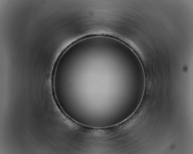 X0000101210943200807071335