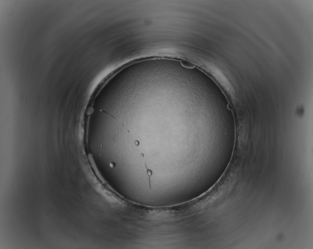 X0000101210944200807071335