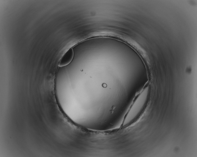 X0000101210945200807071335