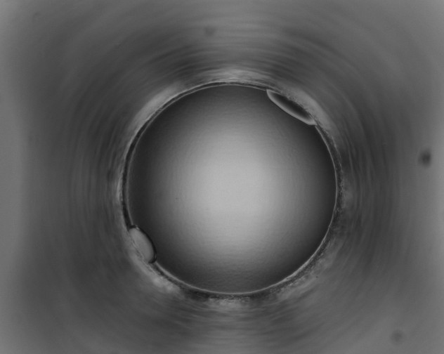 X0000101210946200807071335