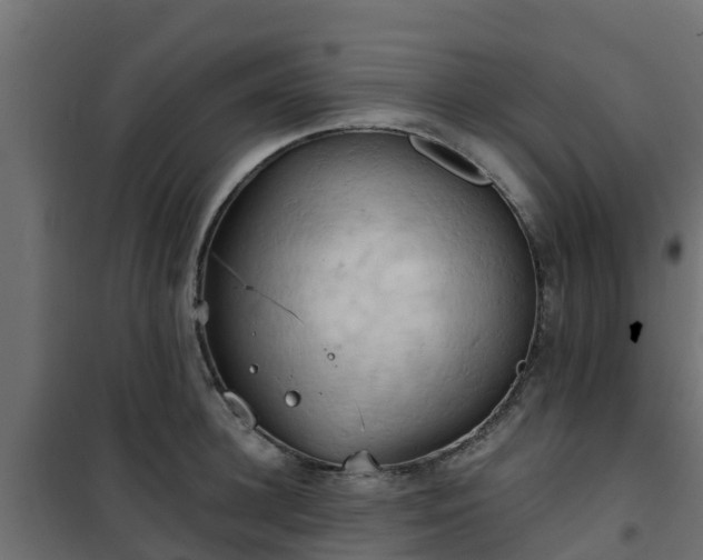 X0000101210948200807071335