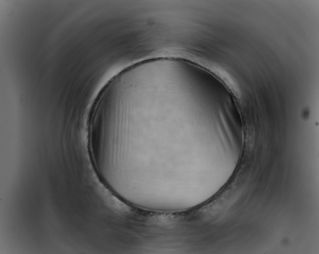 X0000101210950200807071335