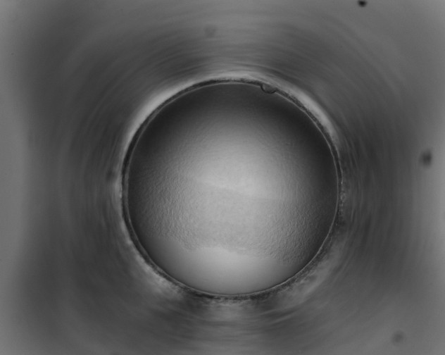 X0000101210951200807071335