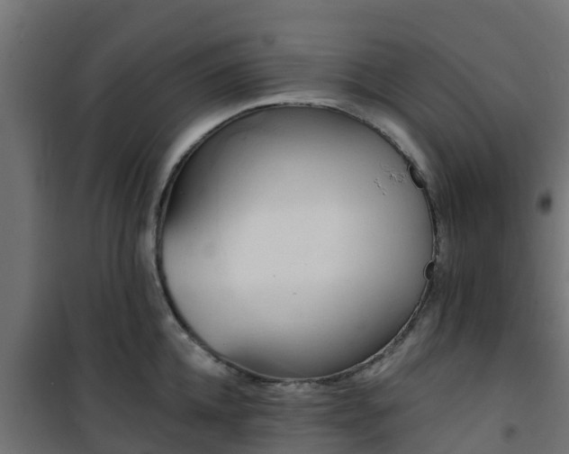 X0000101210952200807071335