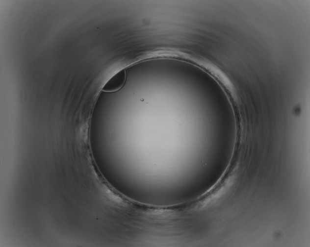 X0000101210953200807071335