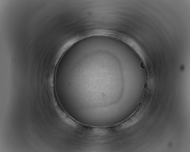 X0000101210954200807071335