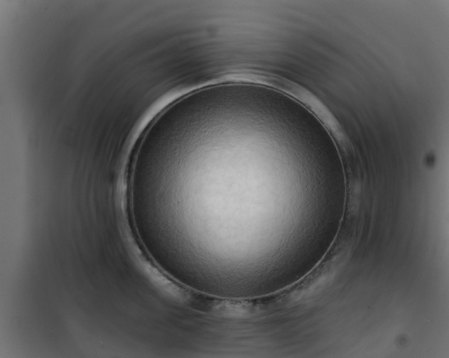 X0000101210955200807071335