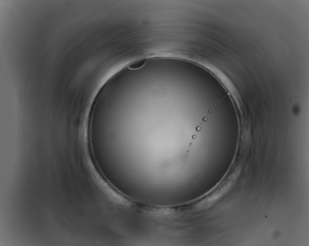 X0000101210957200807071335