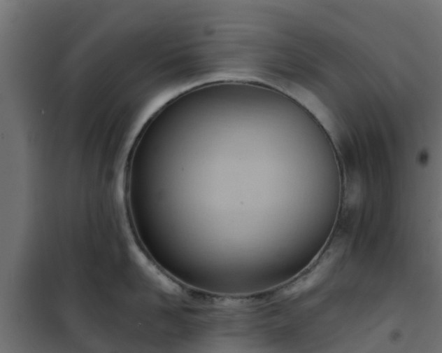 X0000101210958200807071335