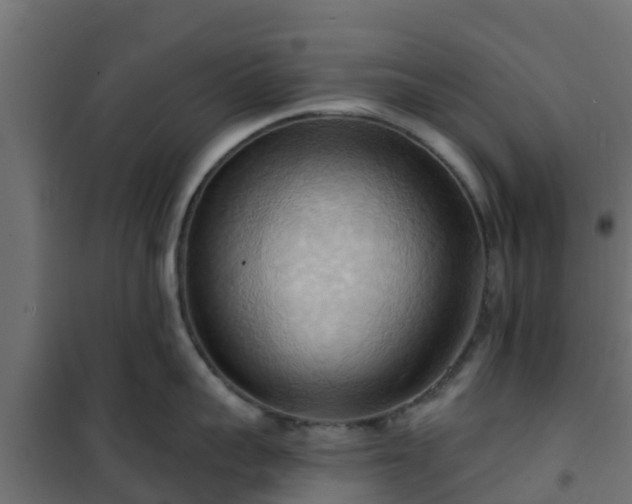 X0000101210959200807071335