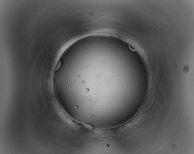 X0000101210960200807071335