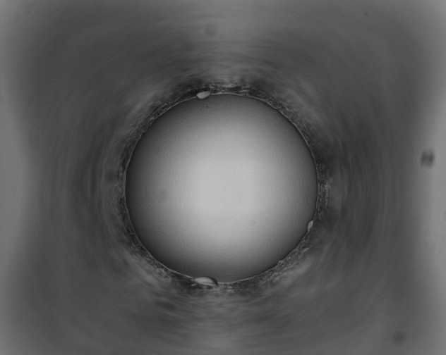 X0000101210961200807071334