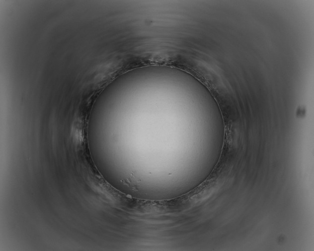 X0000101210962200807071334