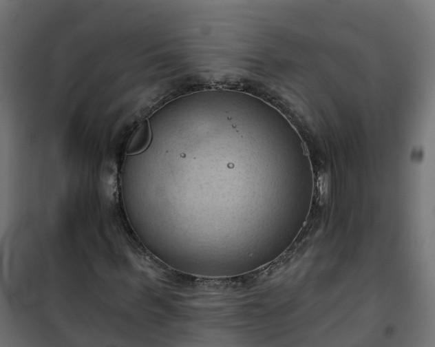 X0000101210963200807071334