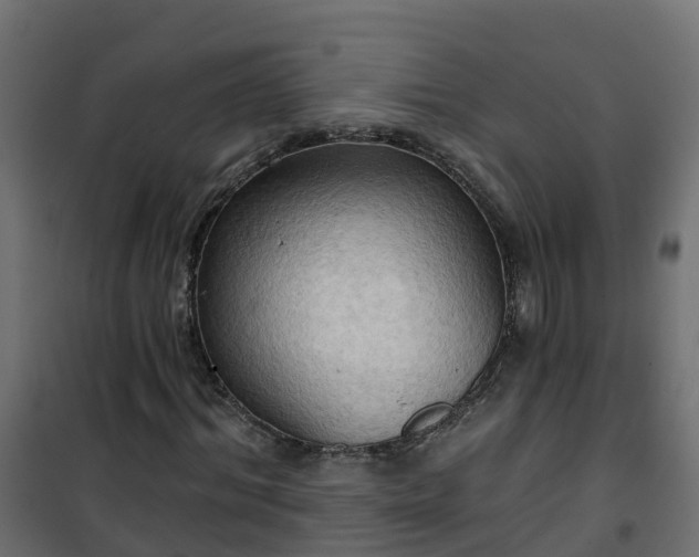 X0000101210964200807071334