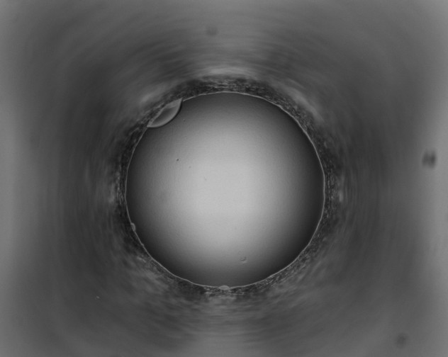 X0000101210965200807071334