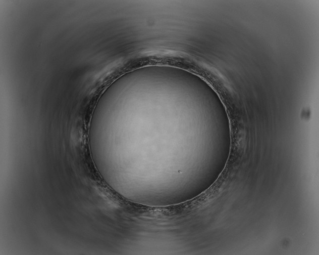 X0000101210966200807071334