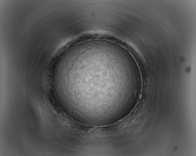 X0000101210967200807071334