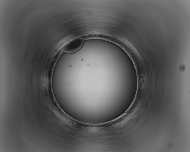 X0000101210969200807071334