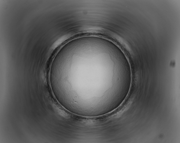 X0000101210970200807071334