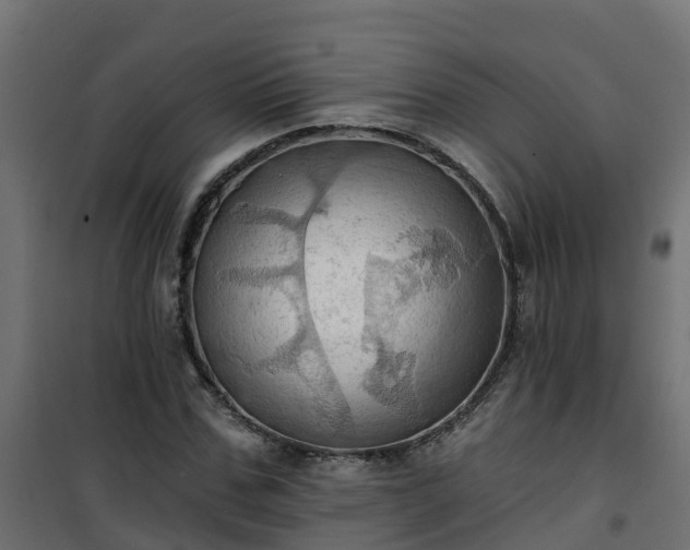 X0000101210971200807071334