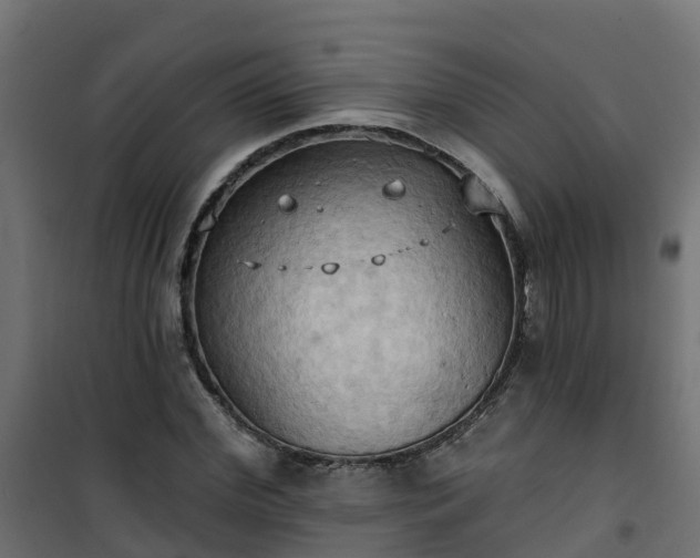 X0000101210972200807071334