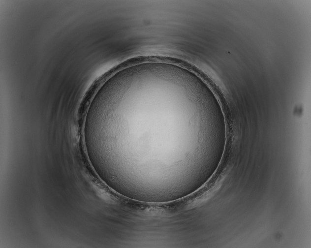 X0000101210974200807071334