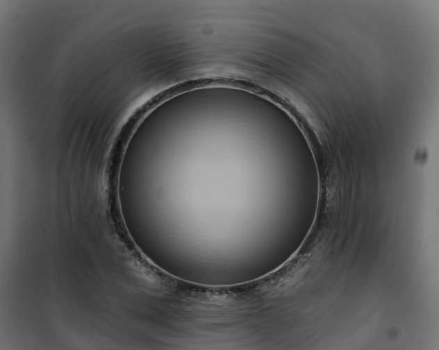 X0000101210975200807071334