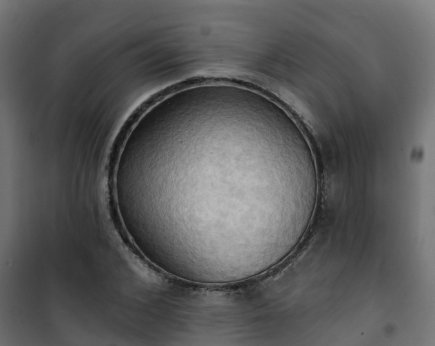 X0000101210976200807071334