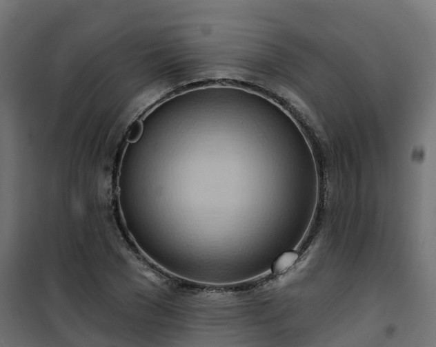 X0000101210977200807071334