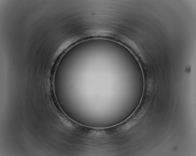 X0000101210978200807071334