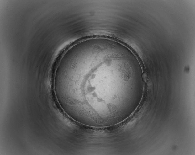 X0000101210979200807071334